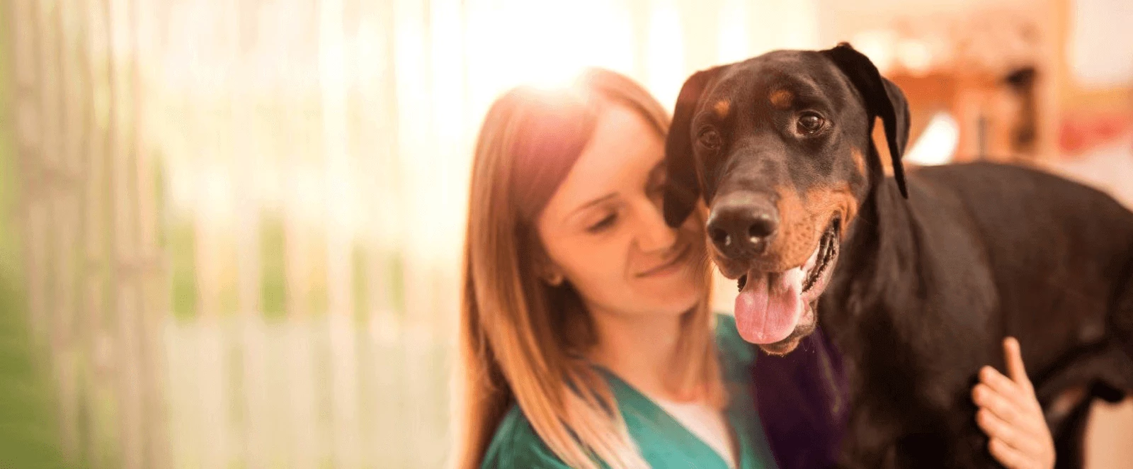 down main veterinary clinic